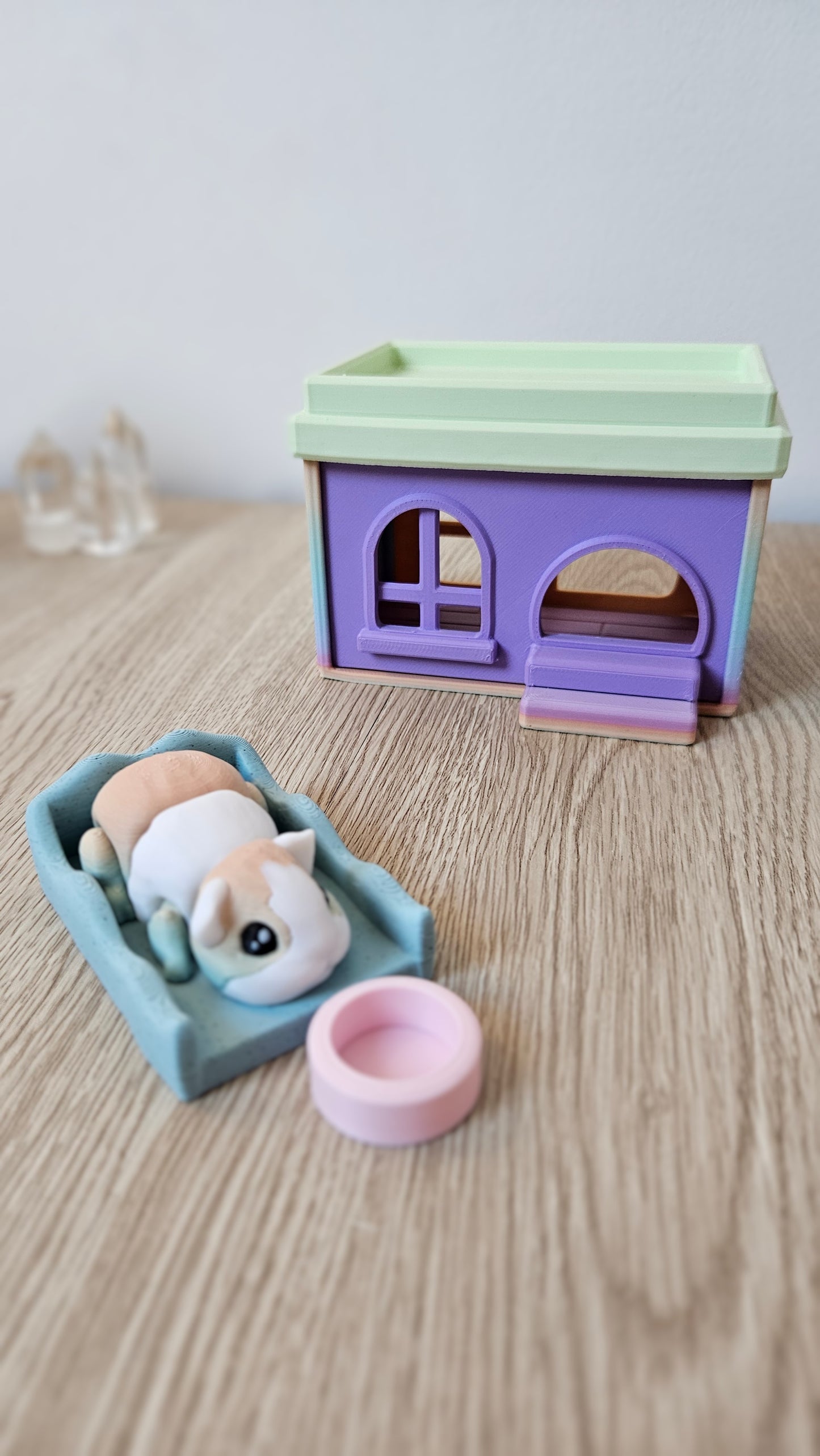 Cochon d'Inde et Sa Maisonnette đĄđč