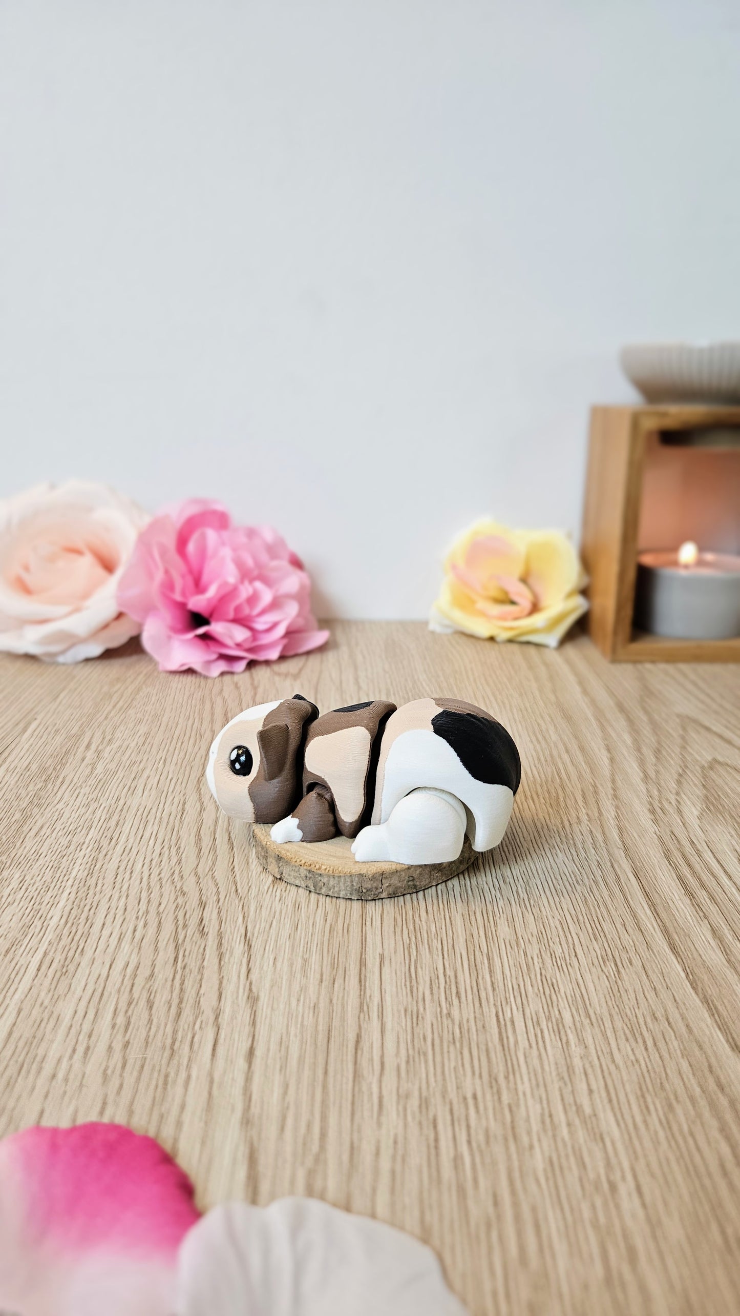 Cochon dâInde đč