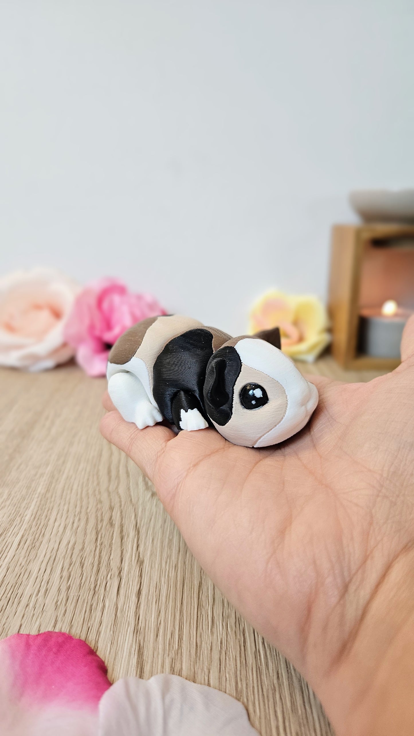 Cochon dâInde đč
