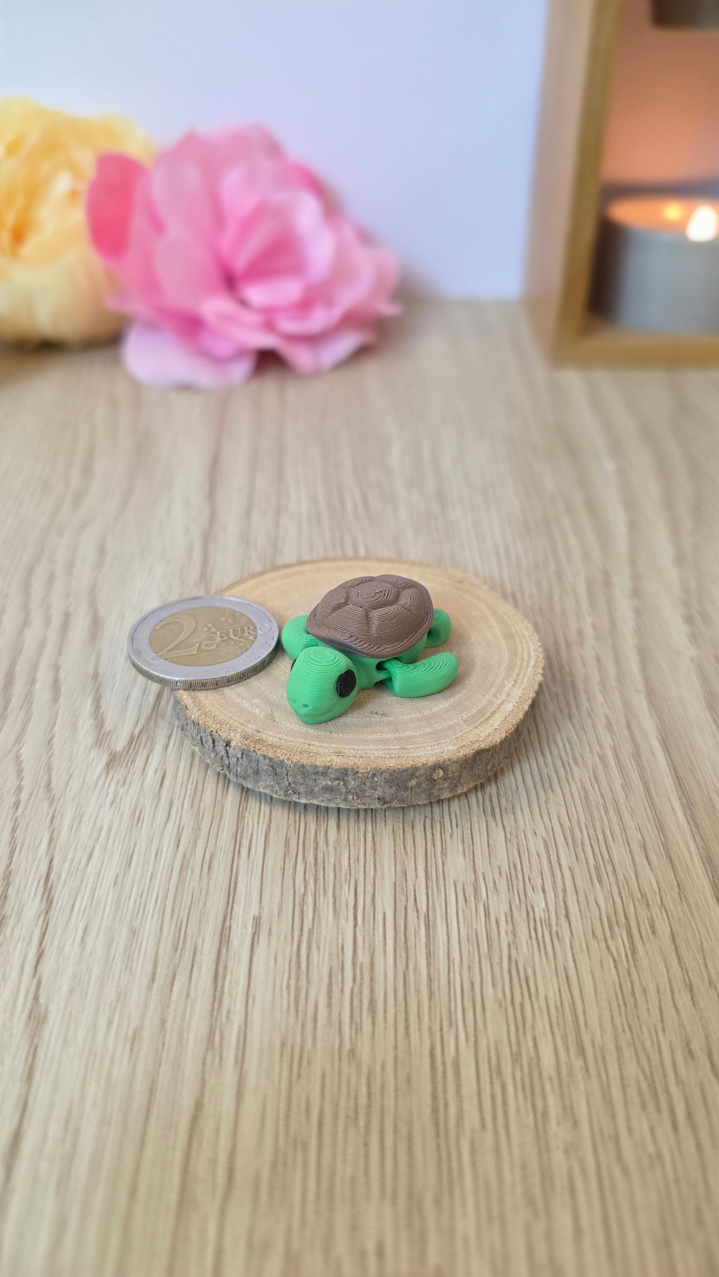 Mini tortue