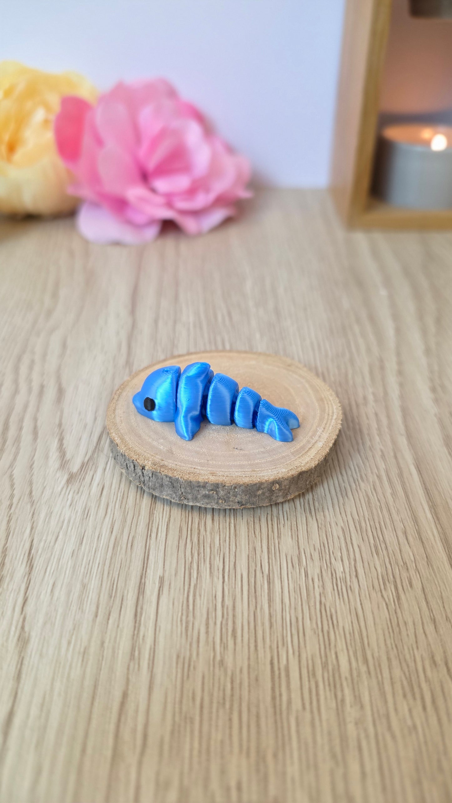 Mini dauphin