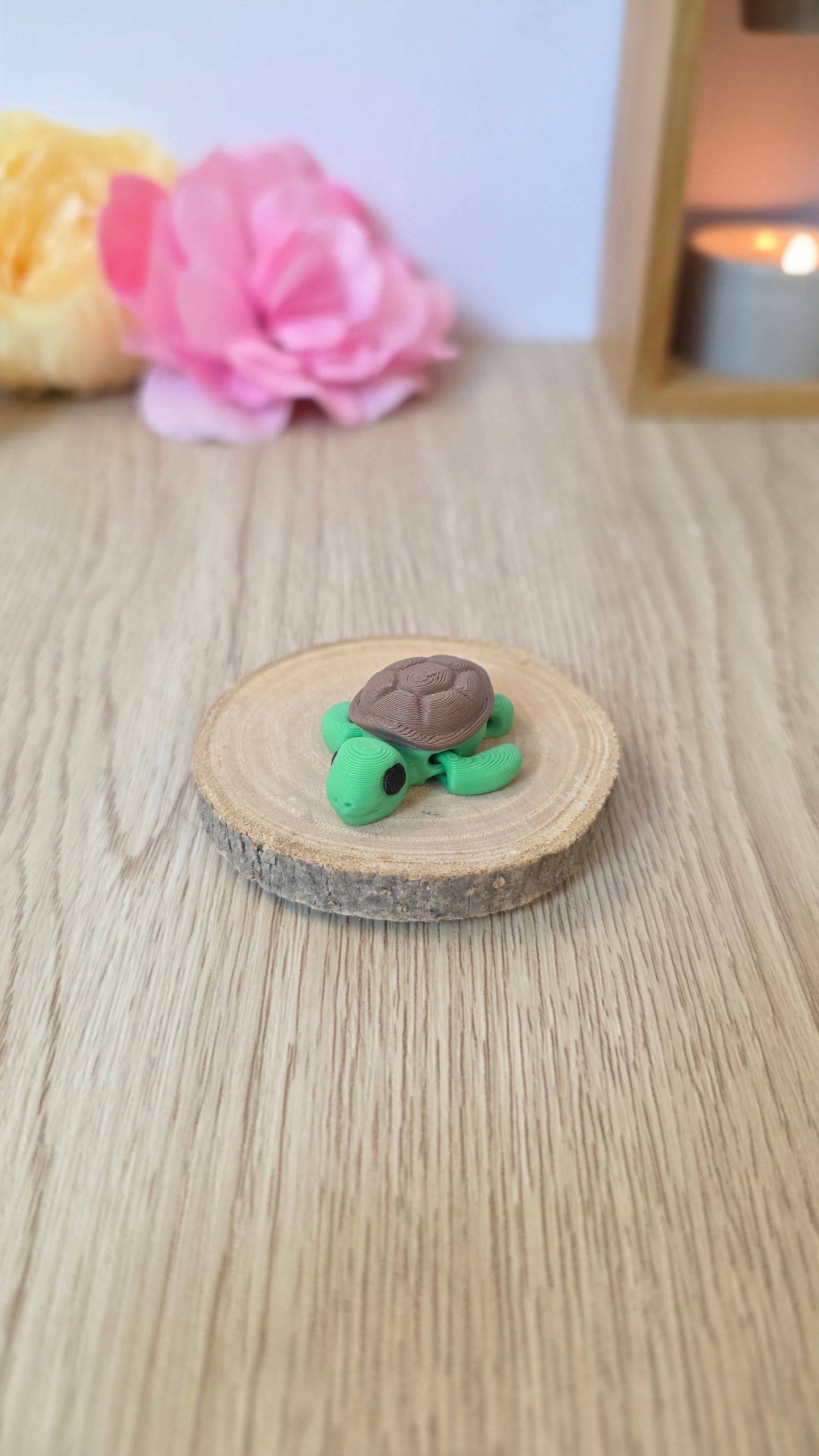 Mini tortue