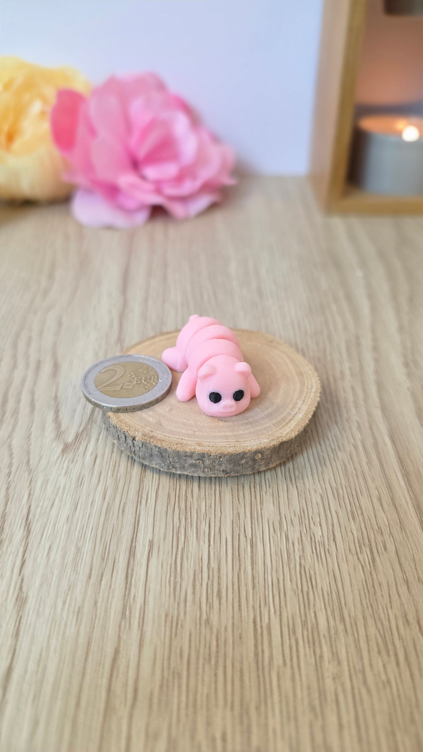 Mini cochon