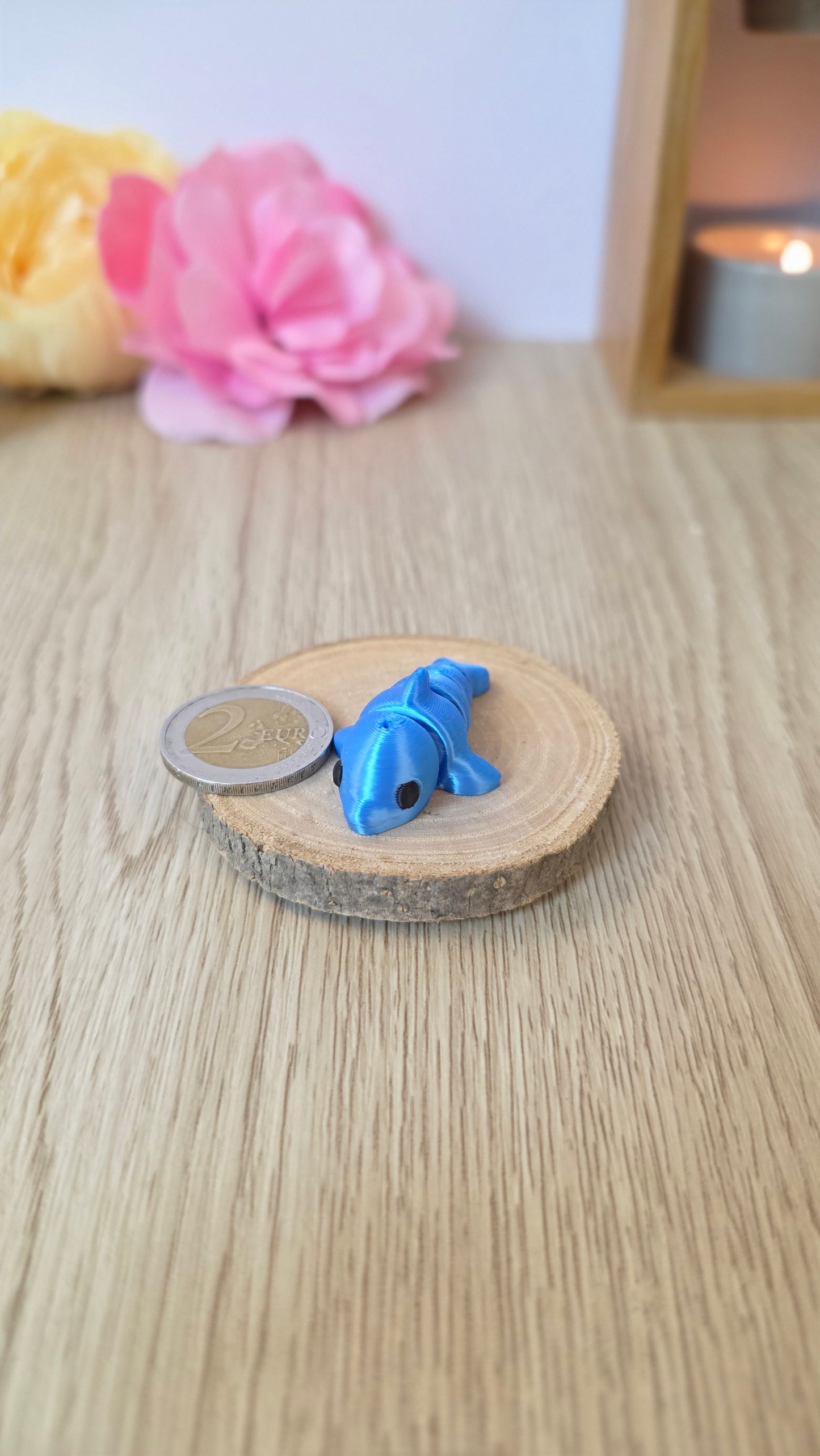 Mini dauphin