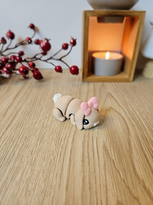 Lapin 🐰🥕