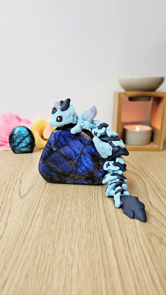Bébé Dragon Atrya  ✨